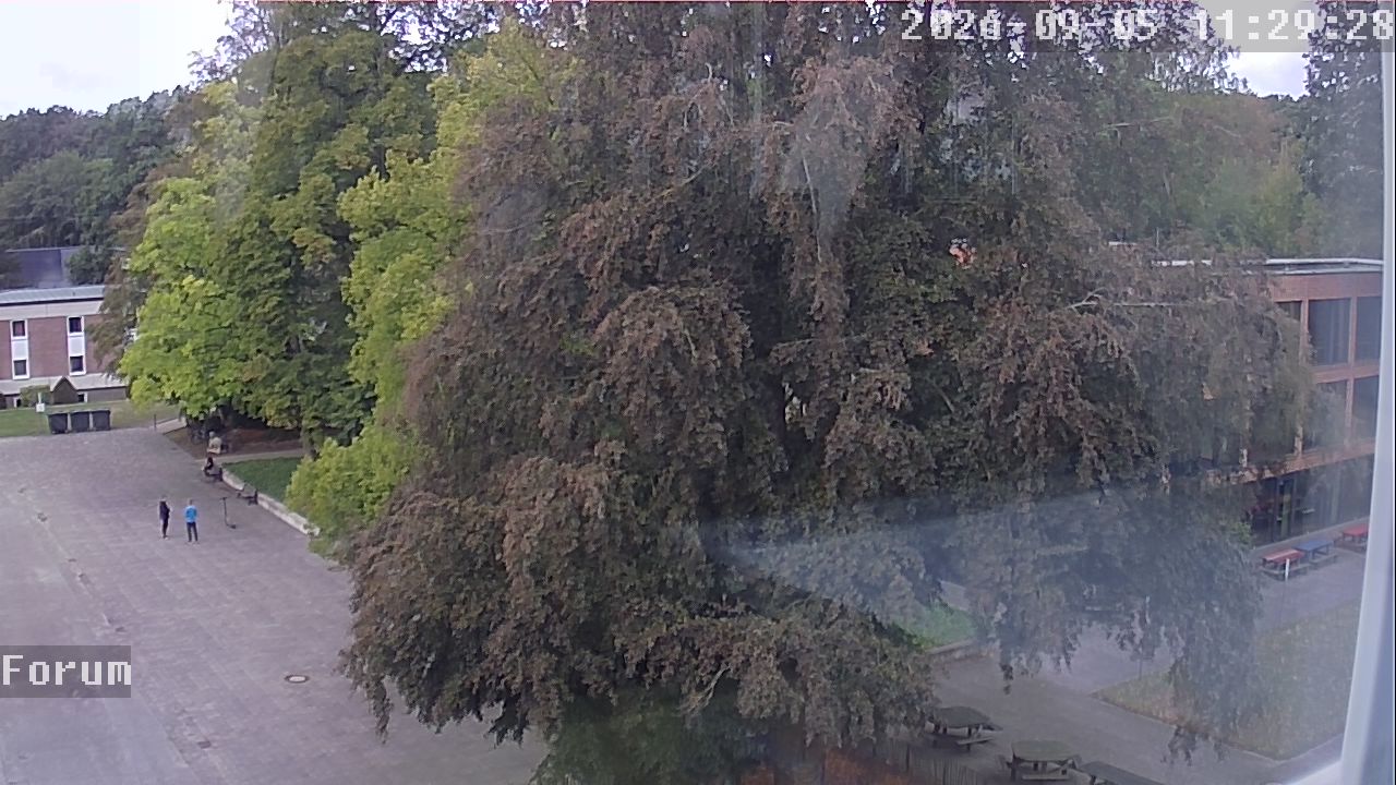 Webcam Forum 11:29