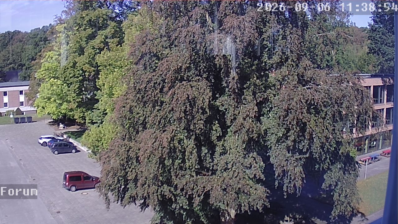 Webcam Forum 11:38
