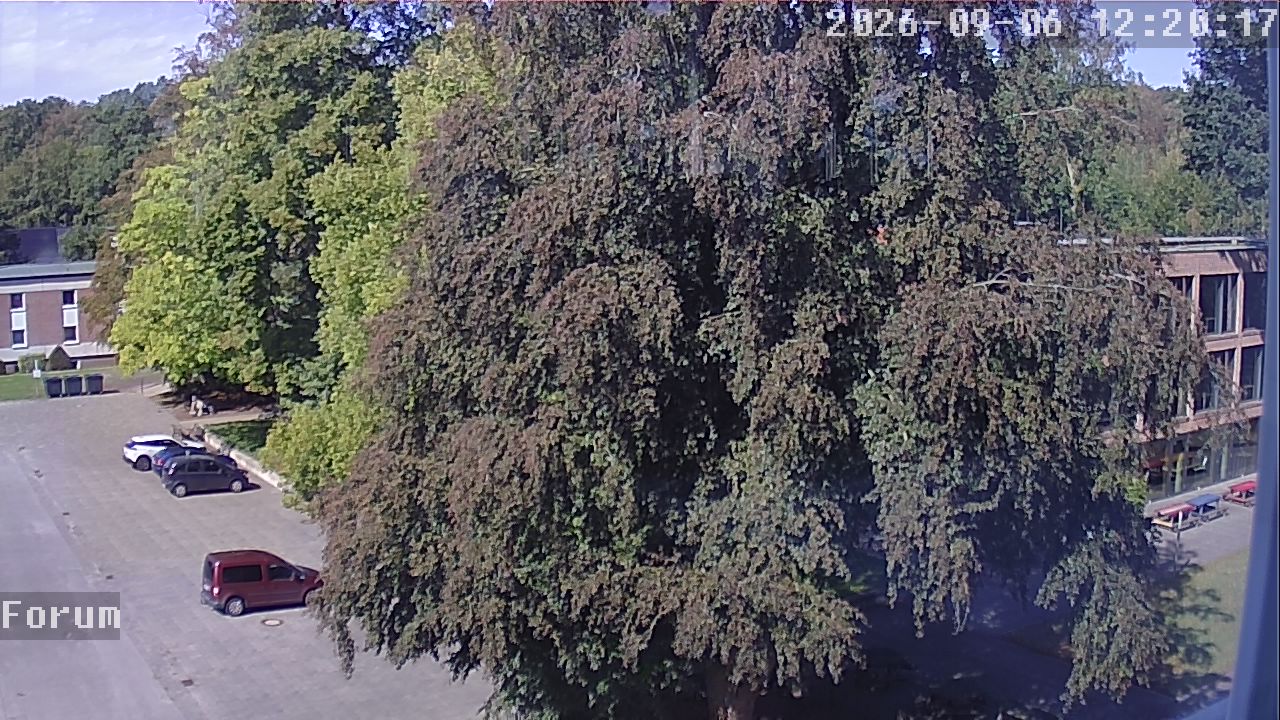 Webcam Forum 12:20