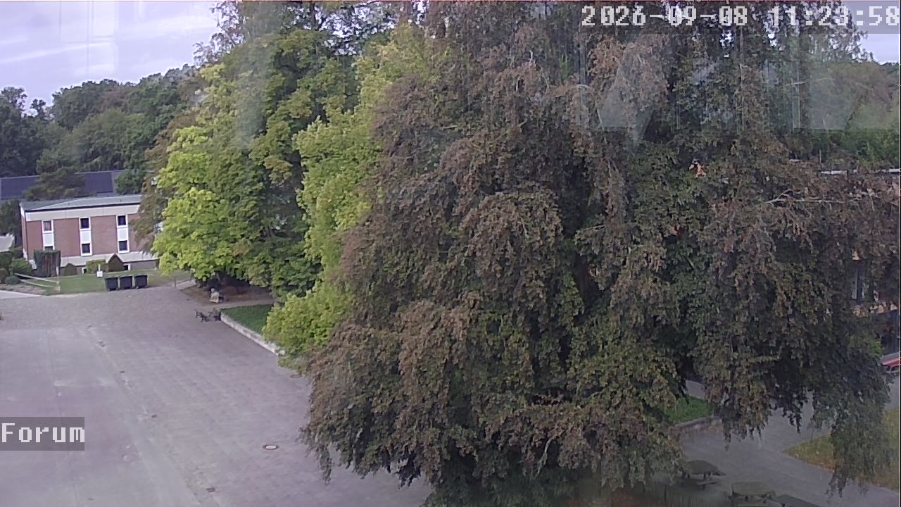 Webcam Forum 11:24