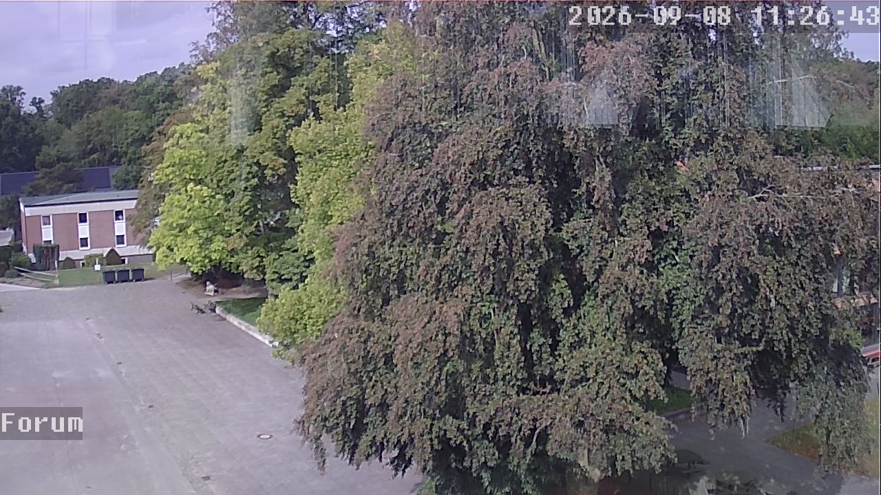 Webcam Forum 11:26