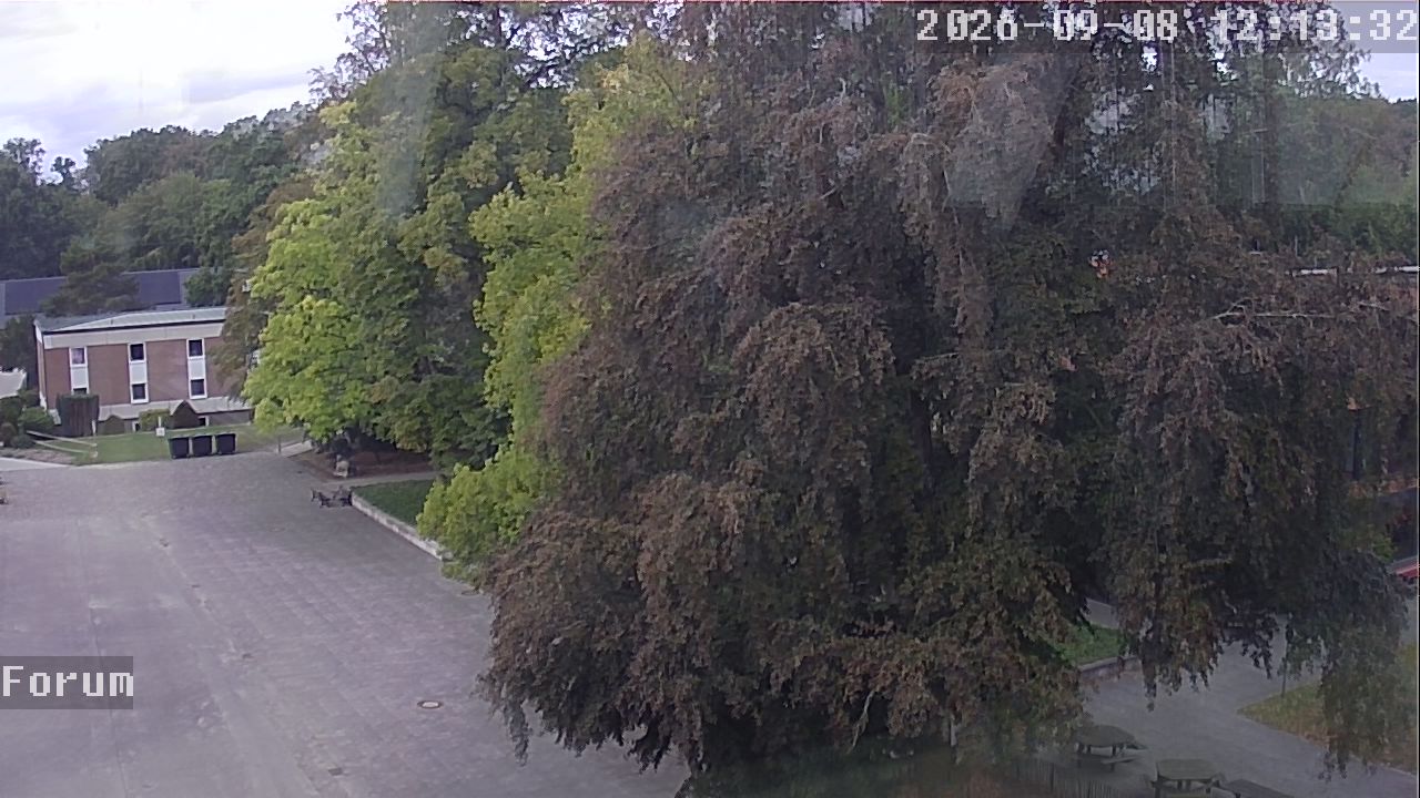 Webcam Forum 12:13