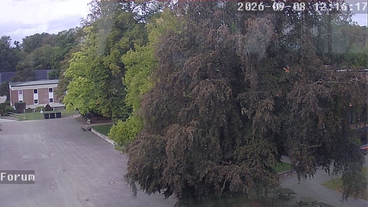Webcam Forum 12:16