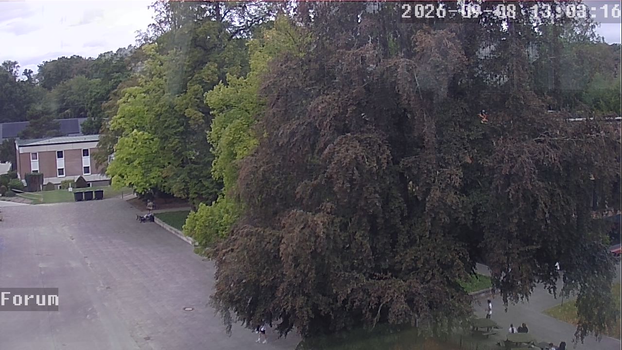 Webcam Forum 13:03