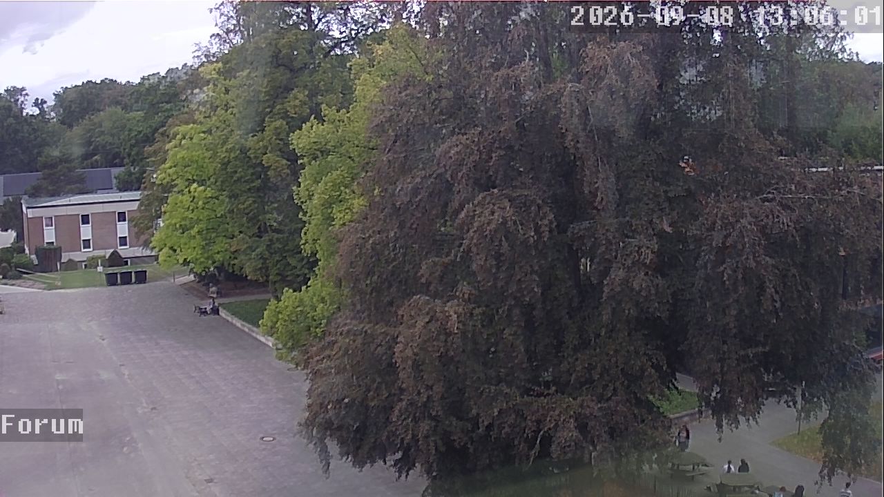 Webcam Forum 13:06