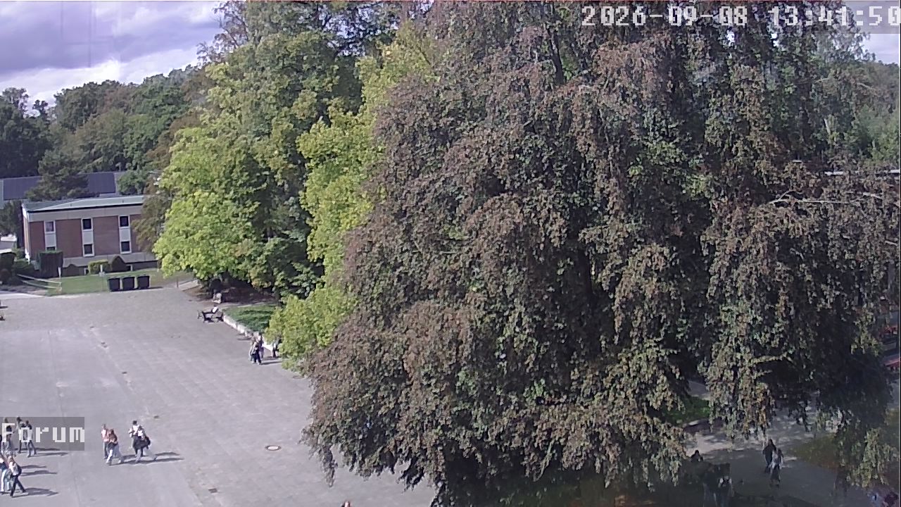 Webcam Forum 13:41