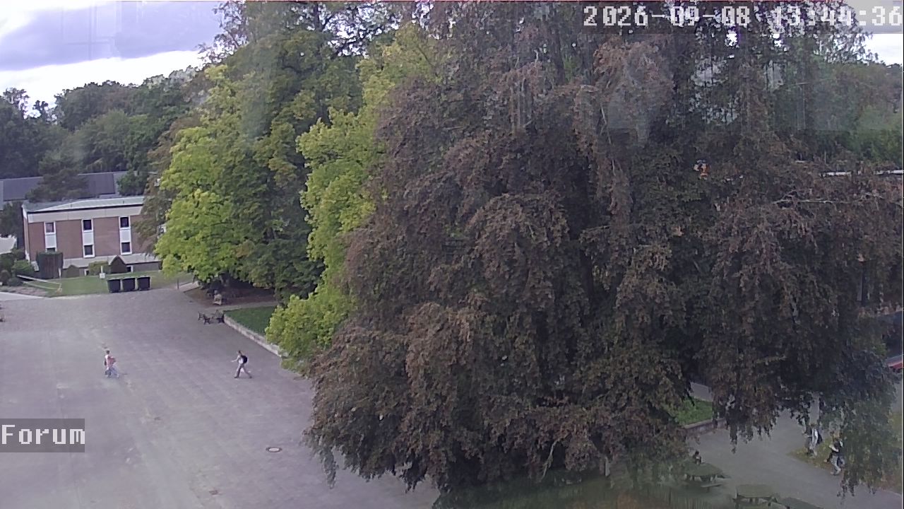 Webcam Forum 13:44