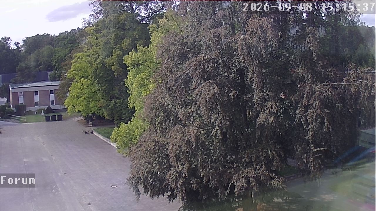 Webcam Forum 15:15
