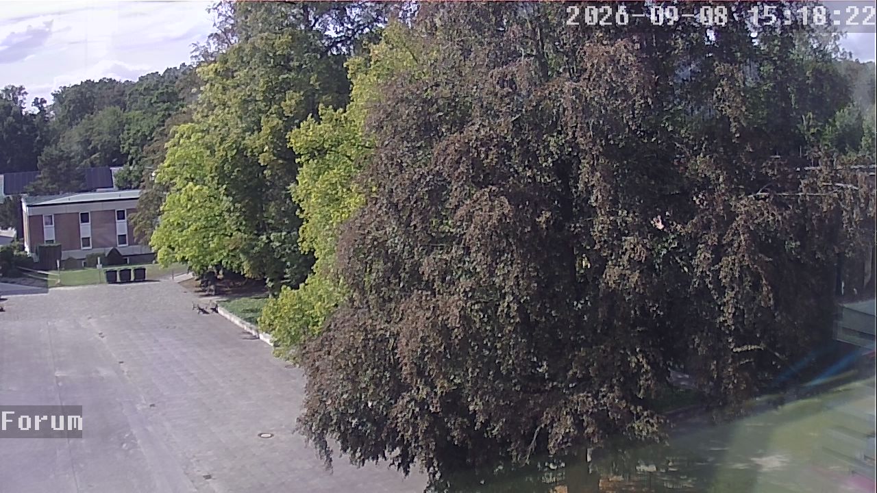 Webcam Forum 15:18