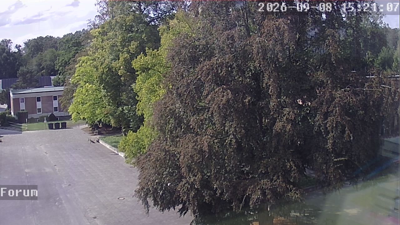 Webcam Forum 15:21