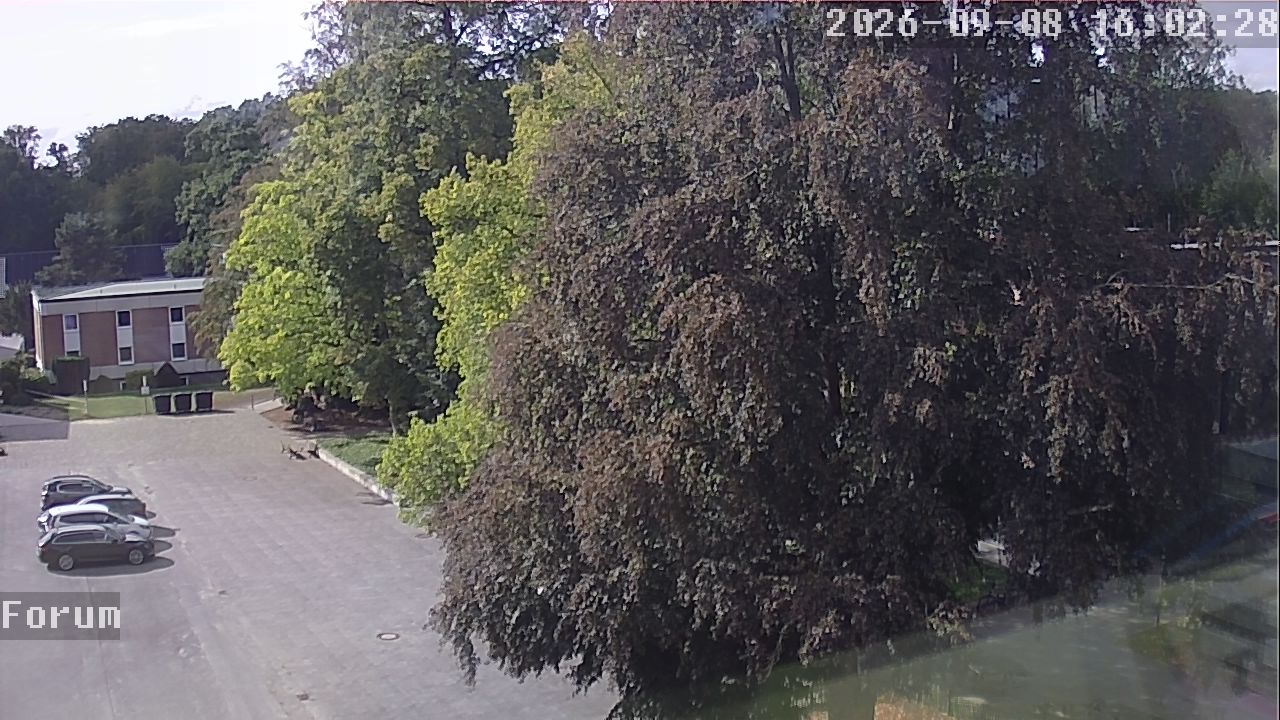 Webcam Forum 16:02