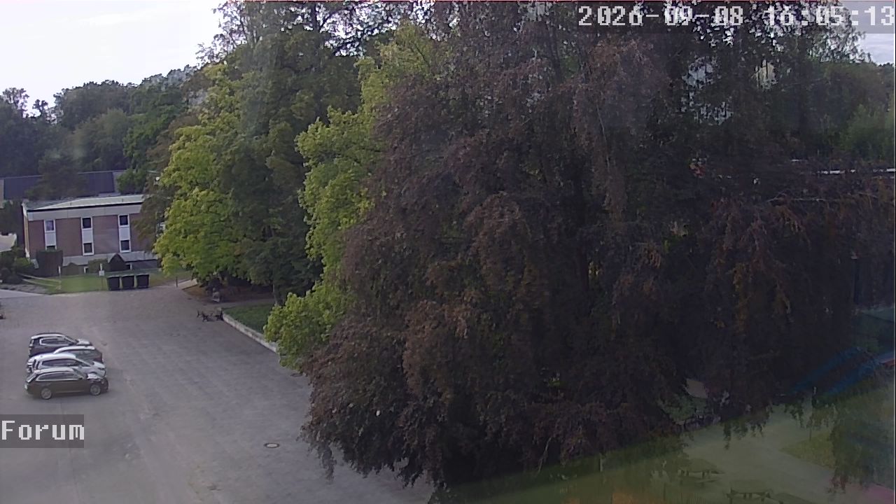 Webcam Forum 16:05