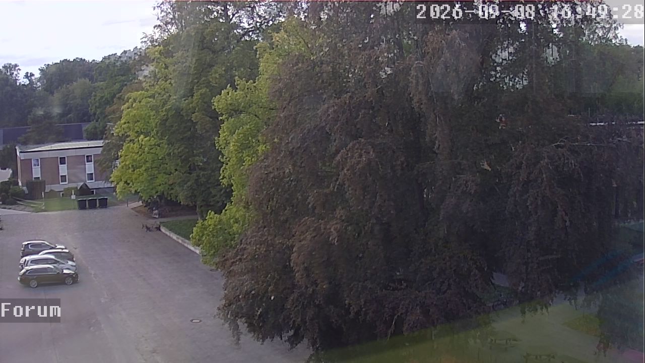Webcam Forum 16:49