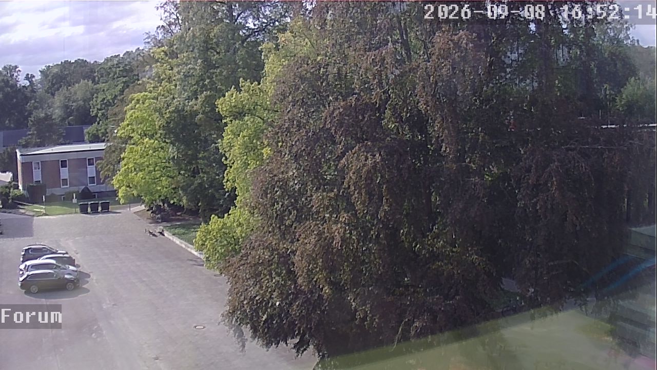 Webcam Forum 16:52