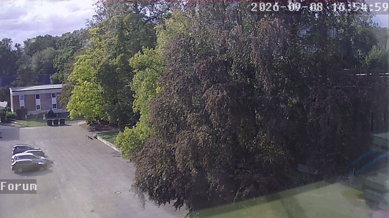 Webcam Forum 16:55