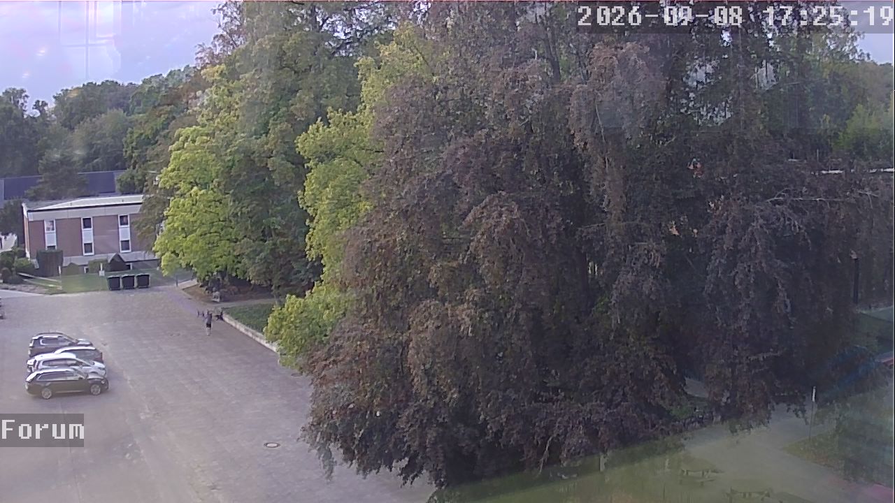 Webcam Forum 17:25