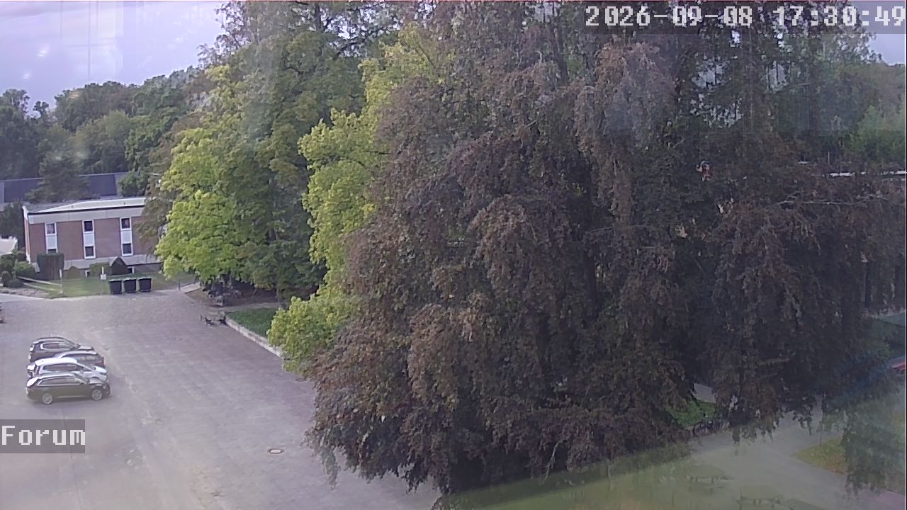 Webcam Forum 17:30