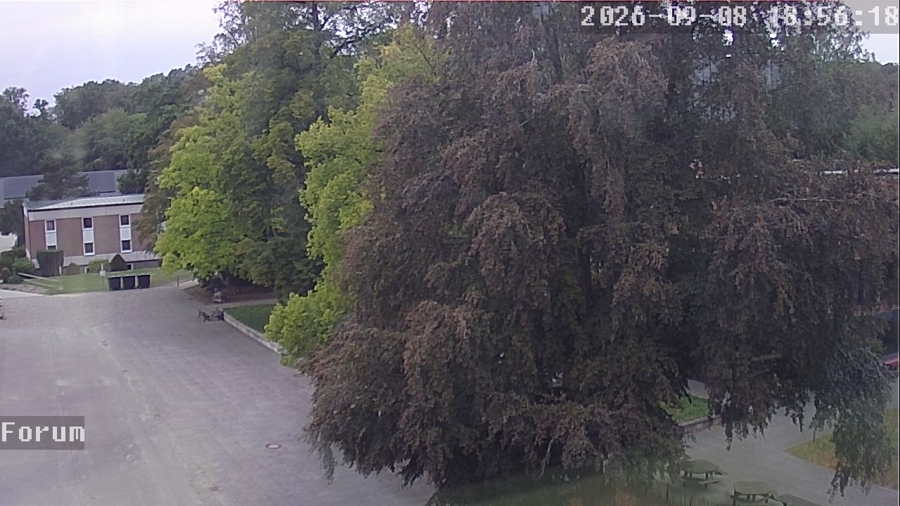 Webcam Forum 18:56