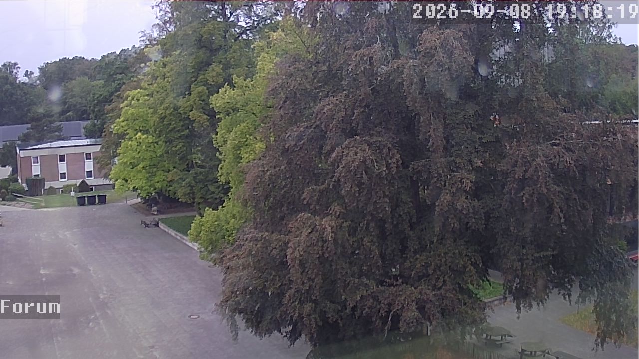 Webcam Forum 19:18