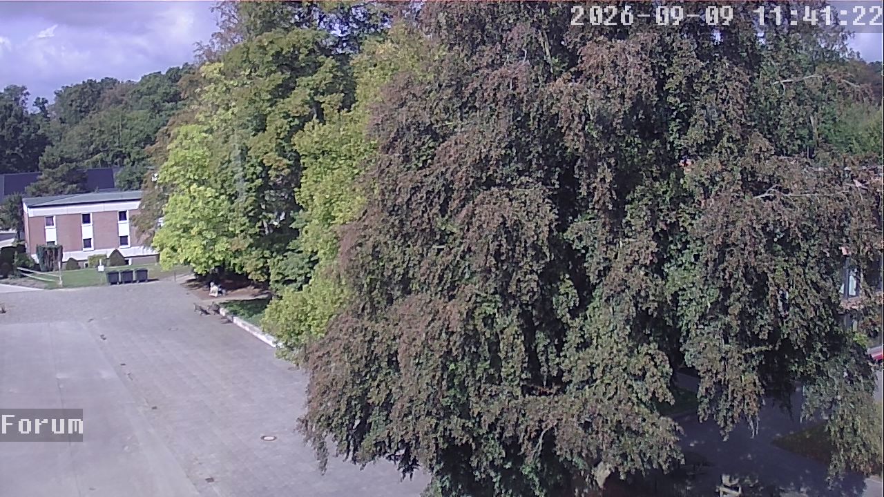 Webcam Forum 11:41