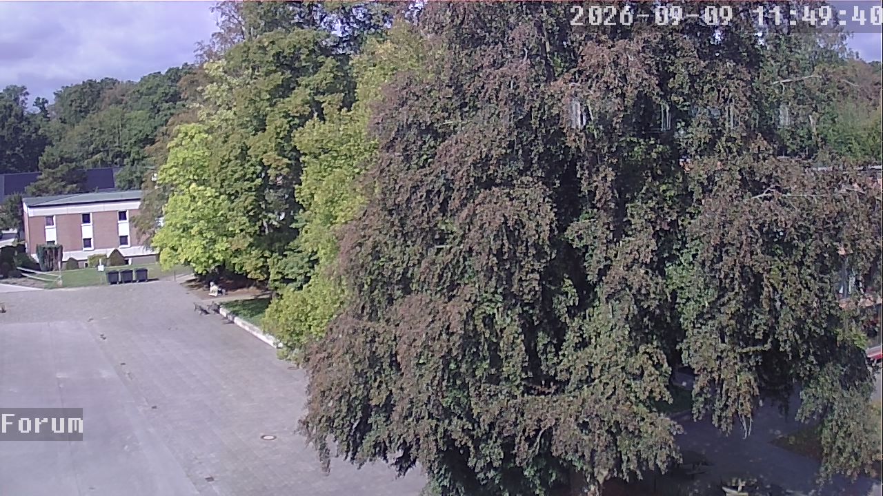 Webcam Forum 11:49
