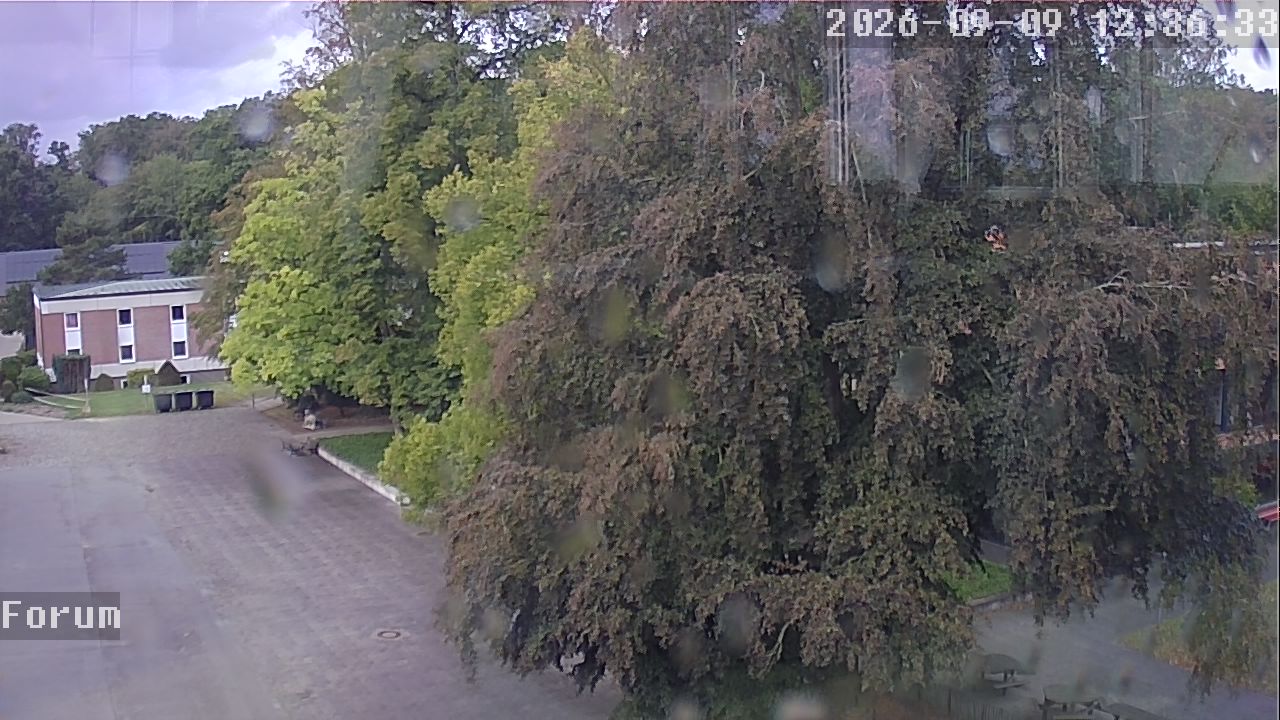 Webcam Forum 12:36