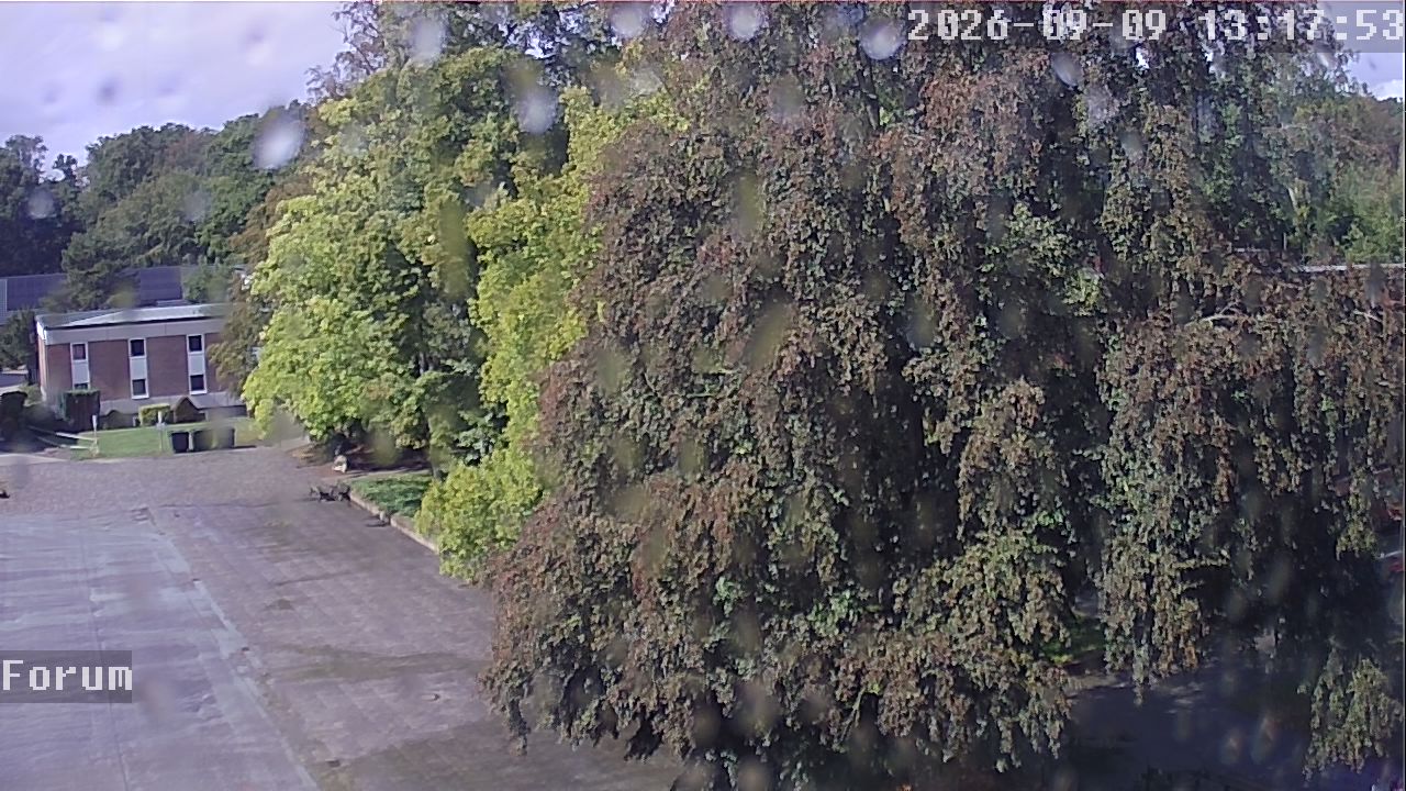 Webcam Forum 13:17