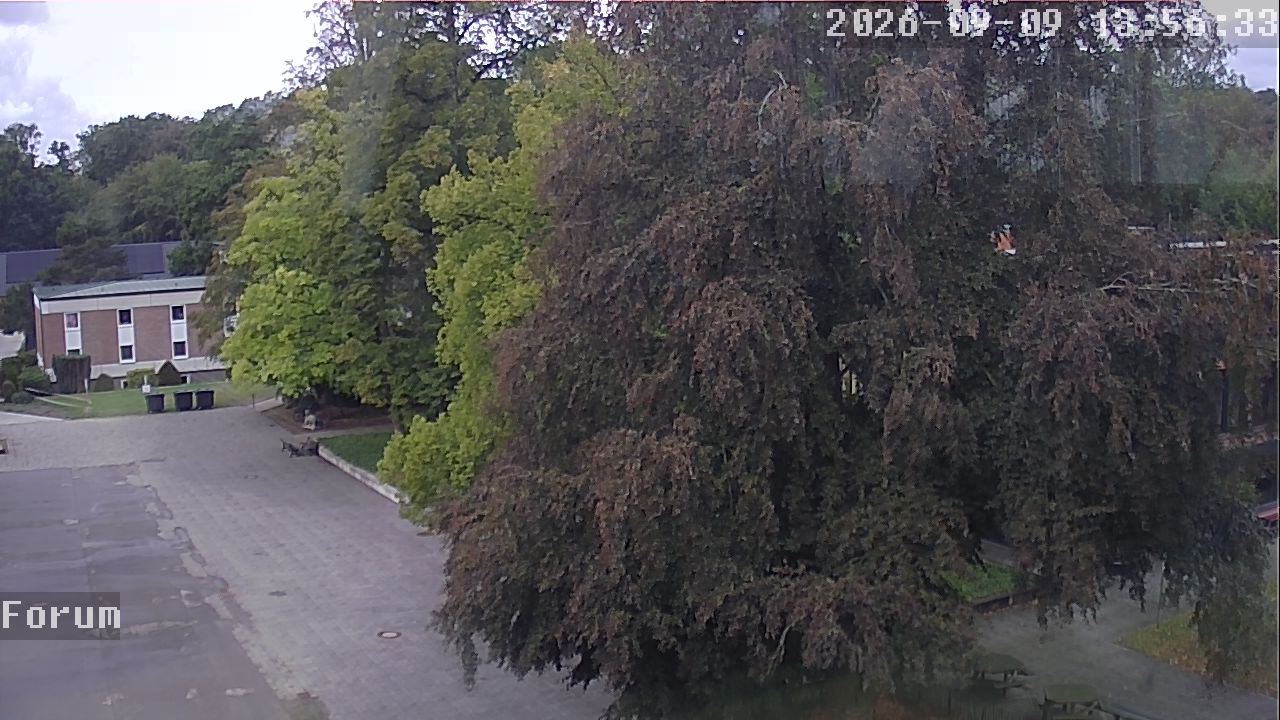 Webcam Forum 13:56