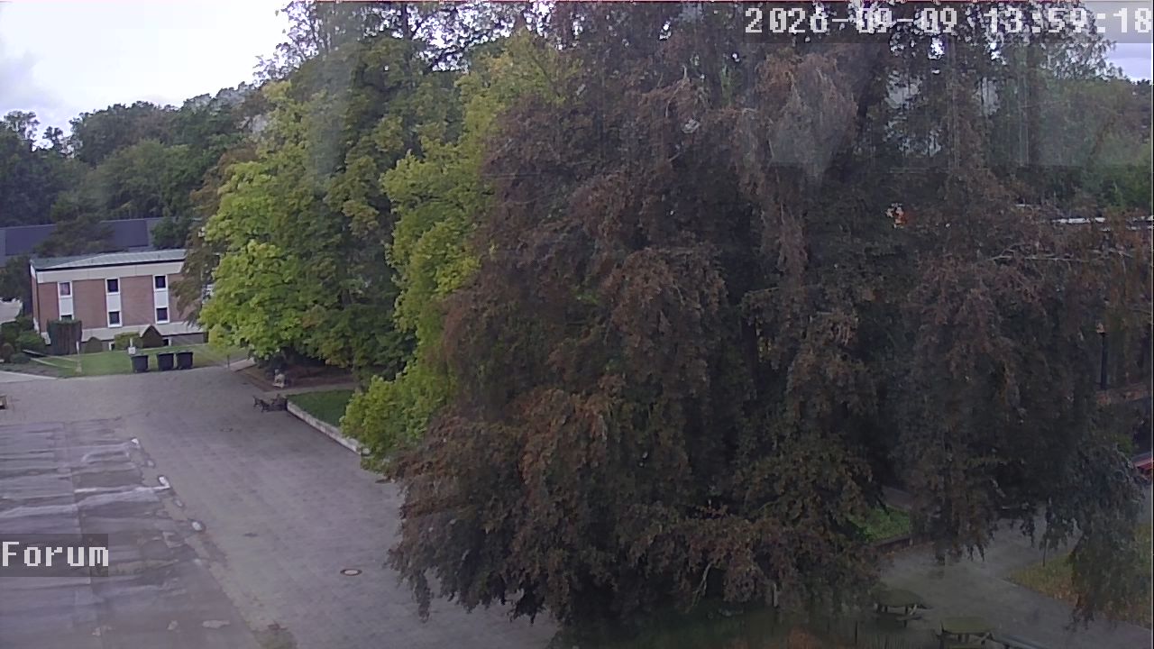 Webcam Forum 13:59
