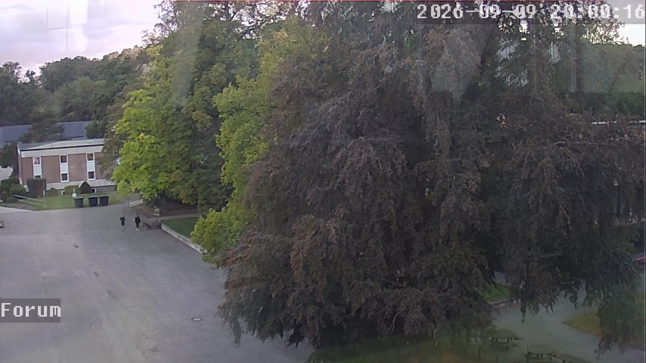 Webcam Forum 20:00