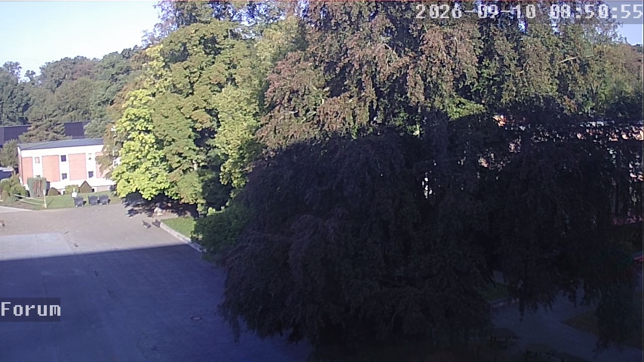 Webcam Forum 08:50