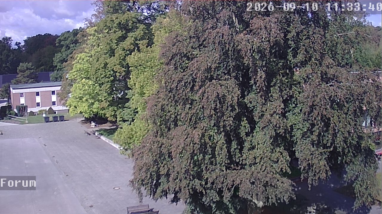 Webcam Forum 11:33