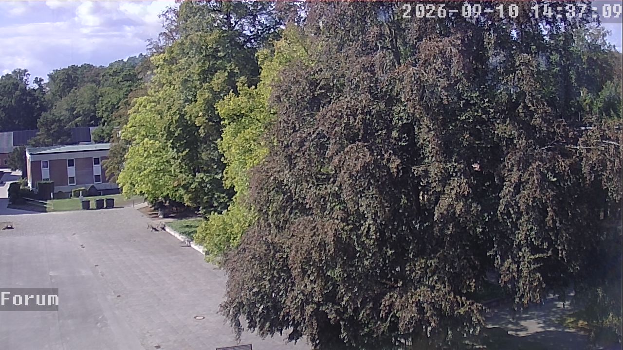 Webcam Forum 14:37