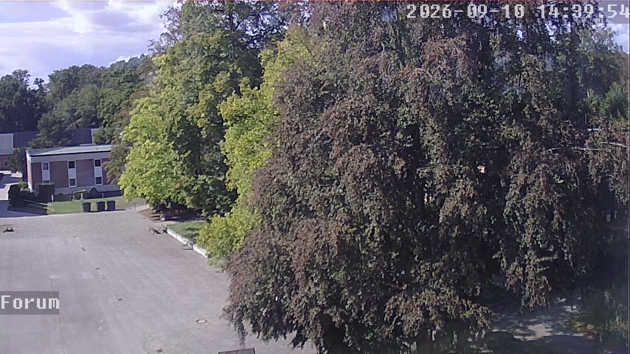 Webcam Forum 14:39