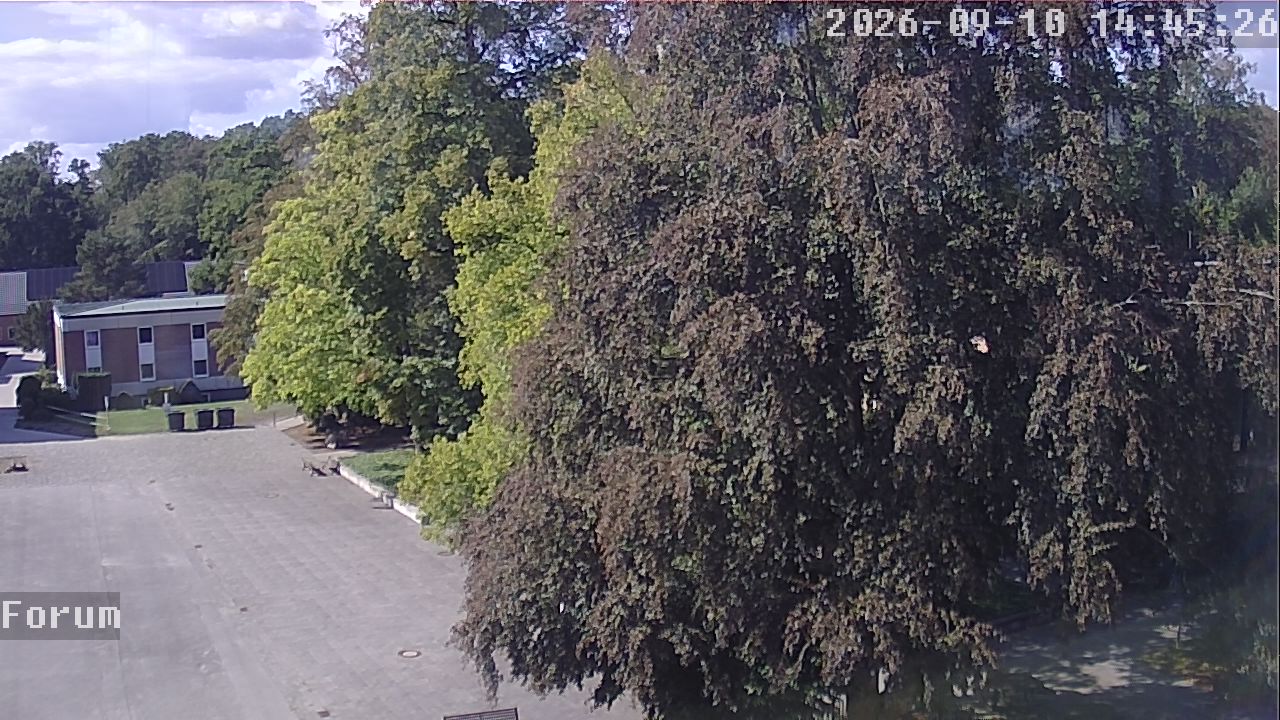 Webcam Forum 14:45