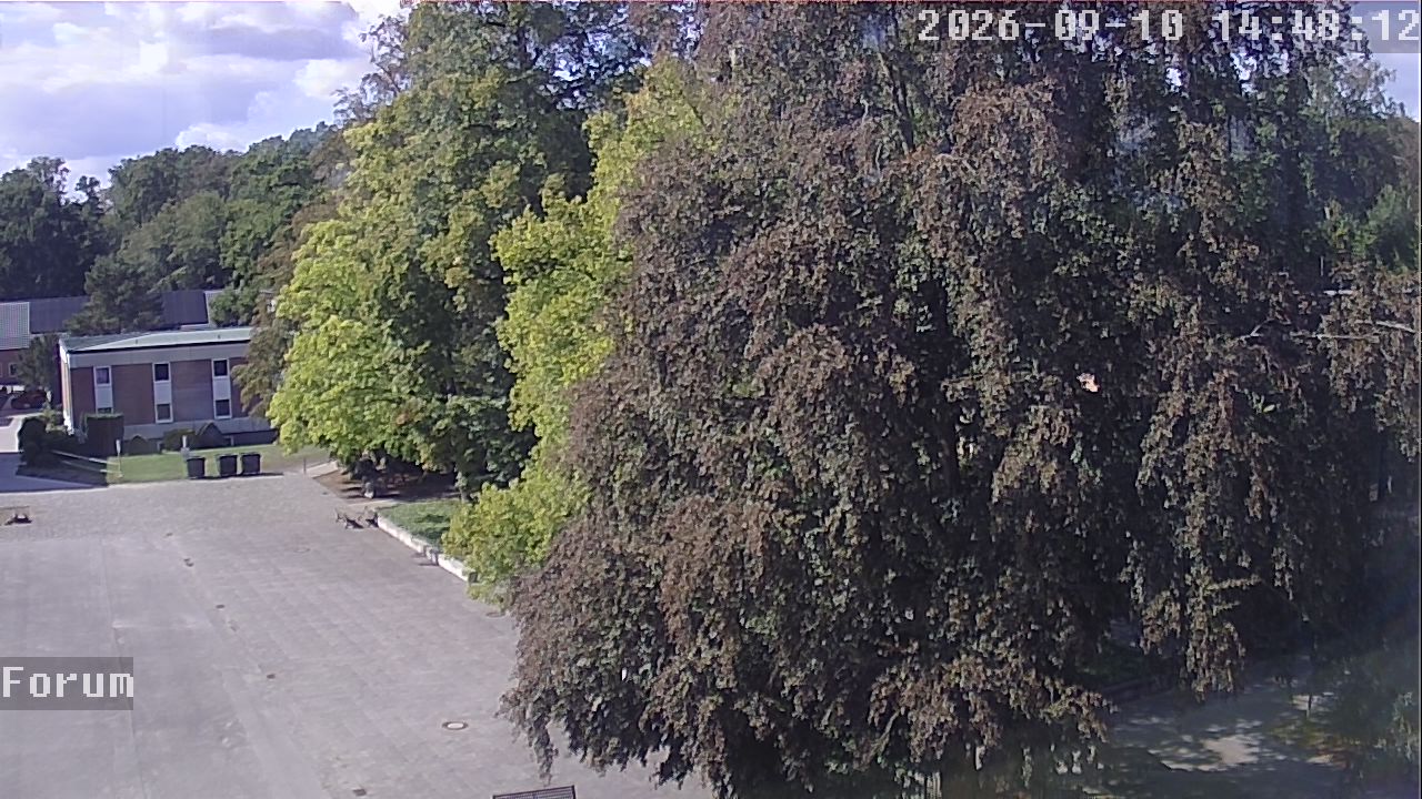 Webcam Forum 14:48