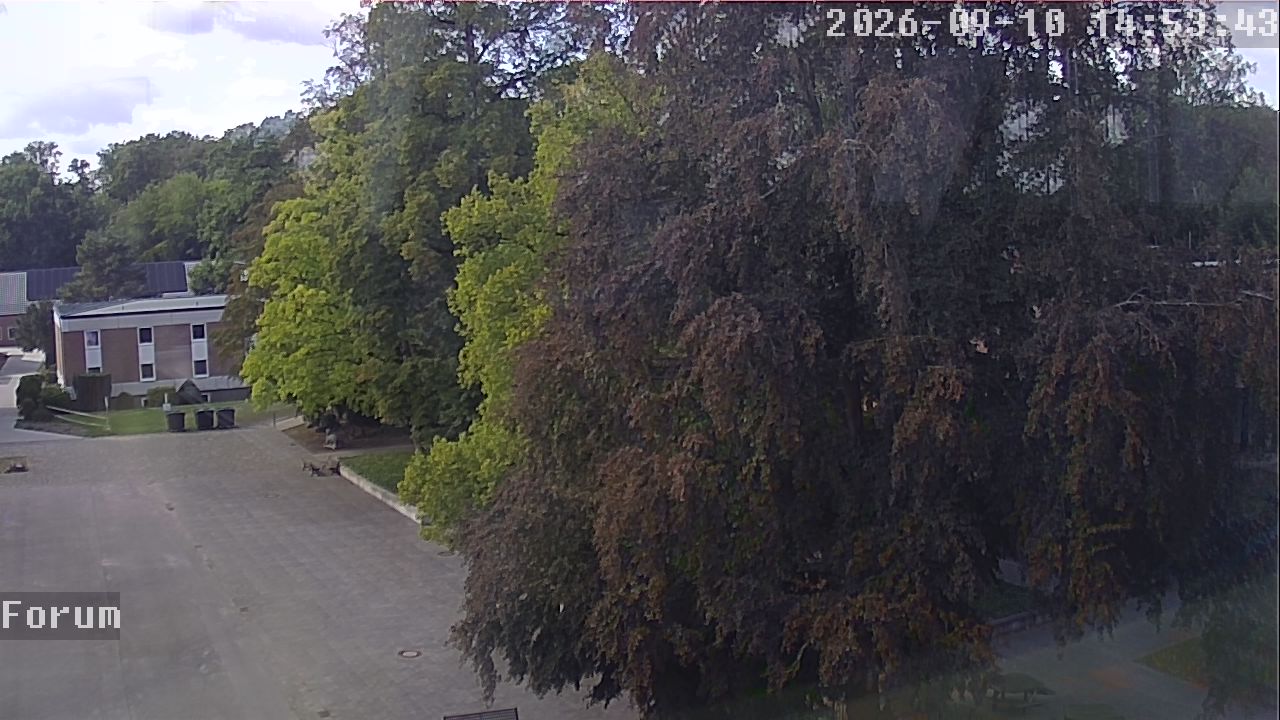 Webcam Forum 14:53