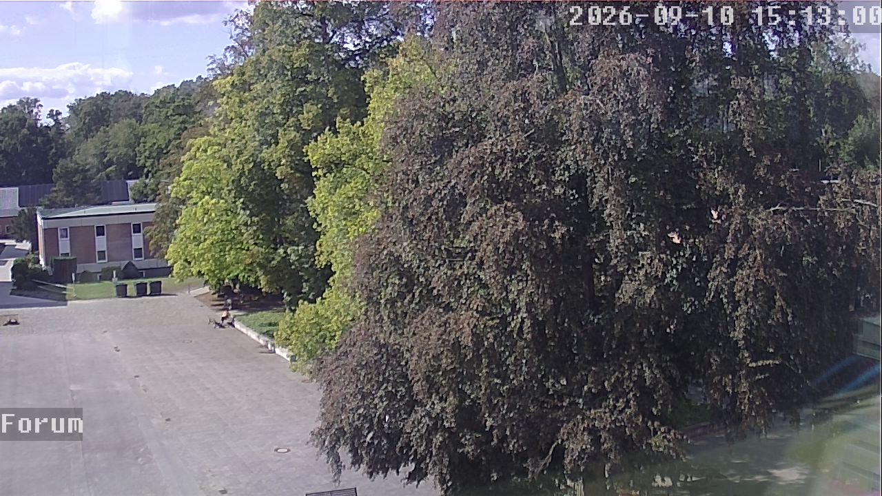 Webcam Forum 15:13