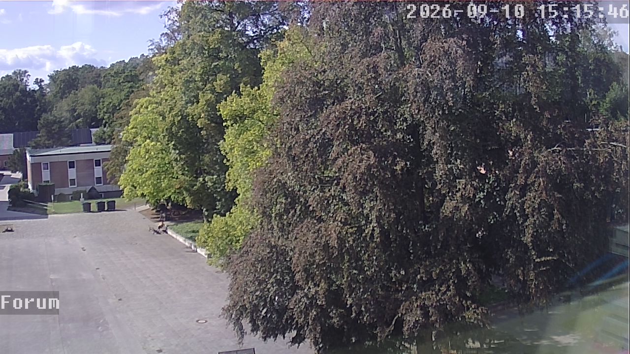 Webcam Forum 15:15