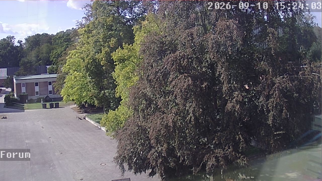 Webcam Forum 15:24