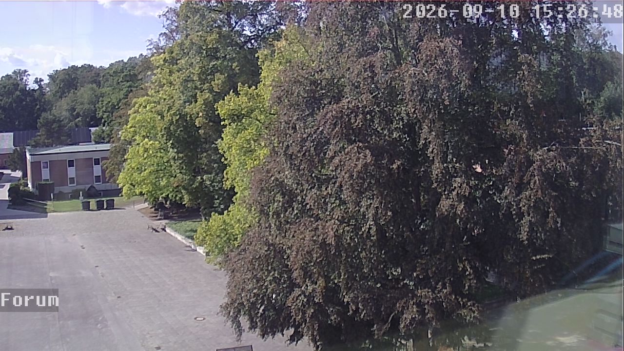 Webcam Forum 15:26