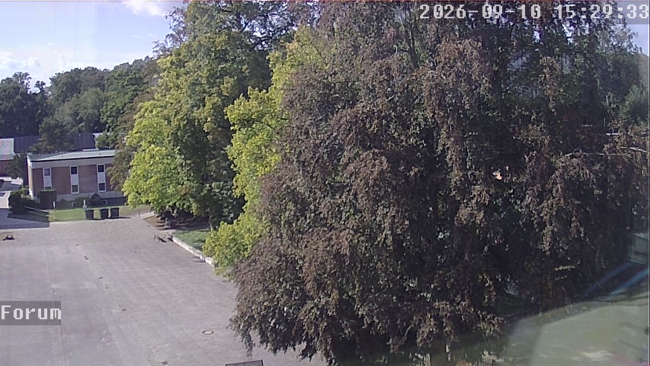 Webcam Forum 15:29