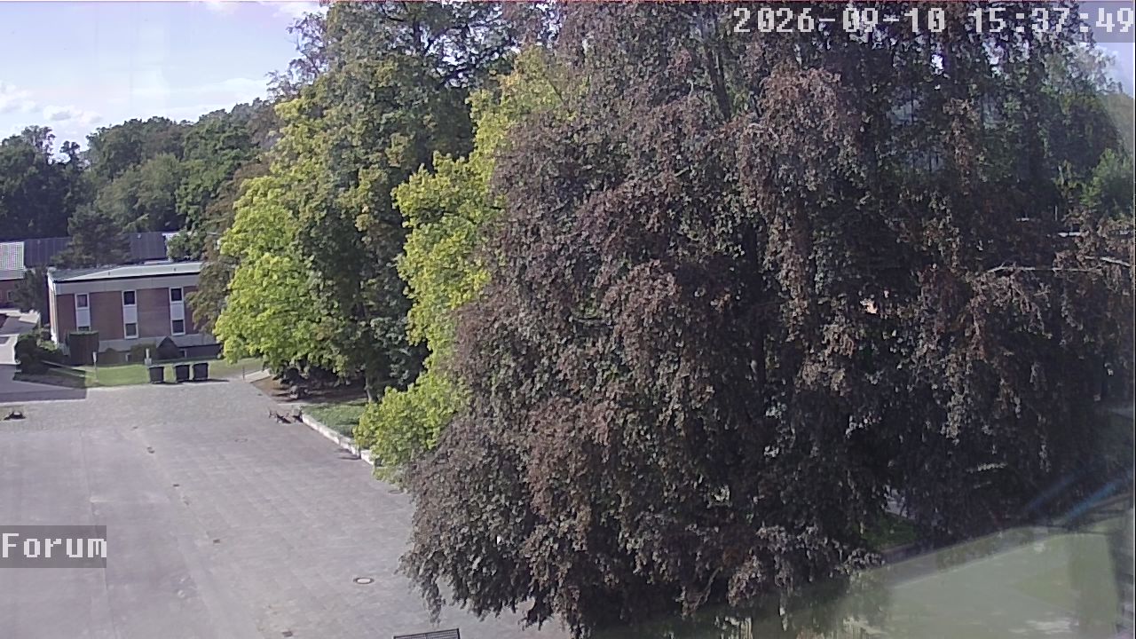 Webcam Forum 15:37
