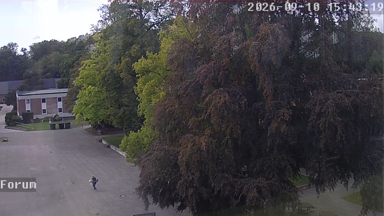 Webcam Forum 15:43