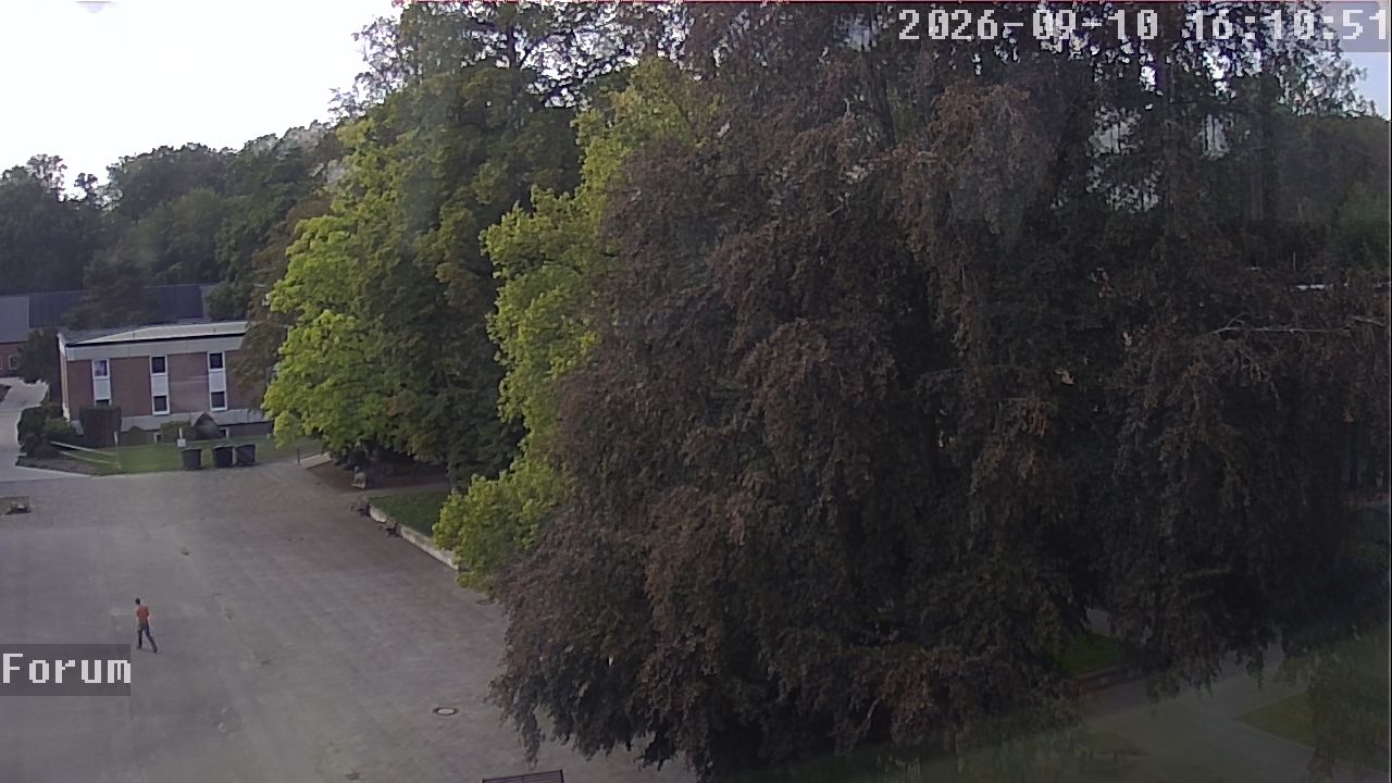 Webcam Forum 16:10