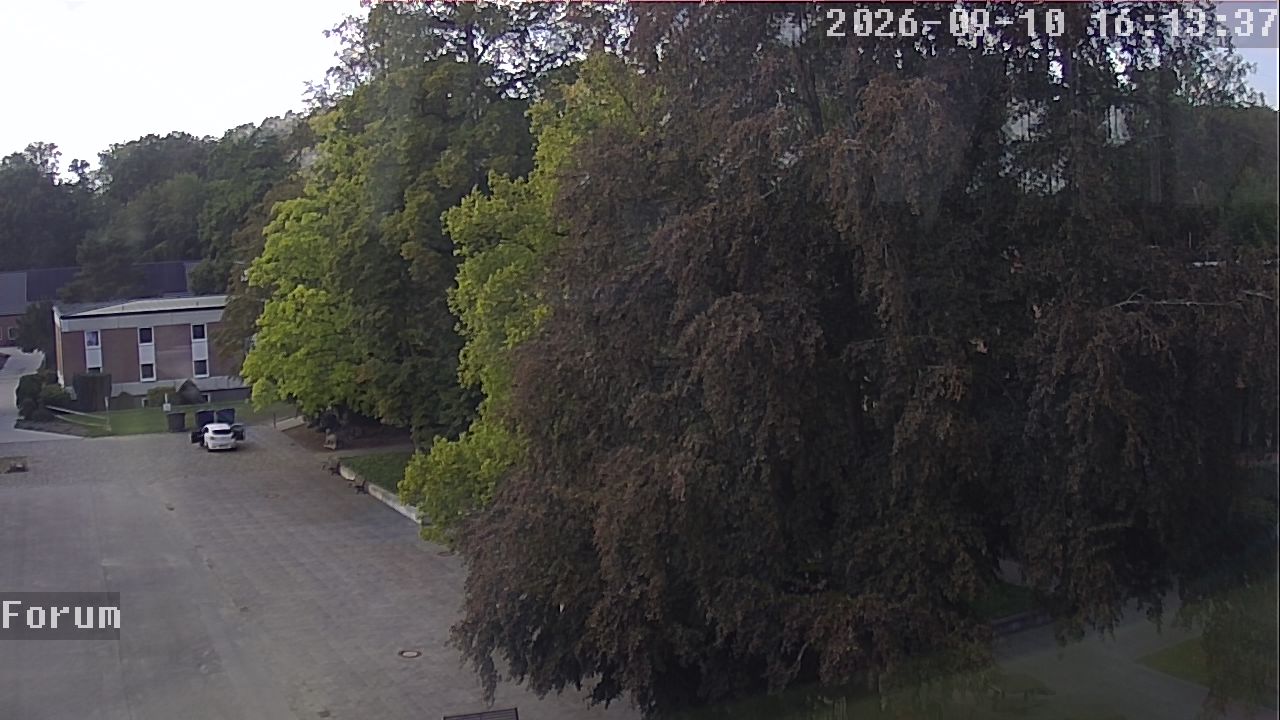 Webcam Forum 16:13