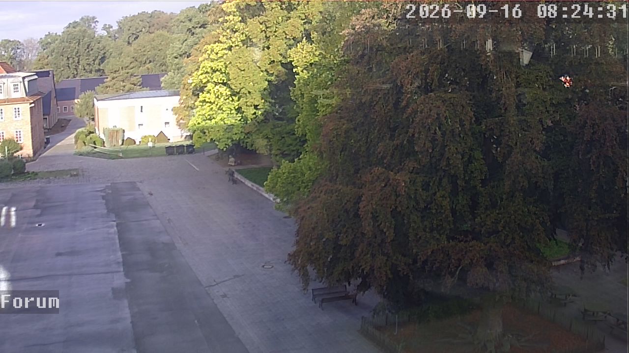 Webcam Forum 08:24