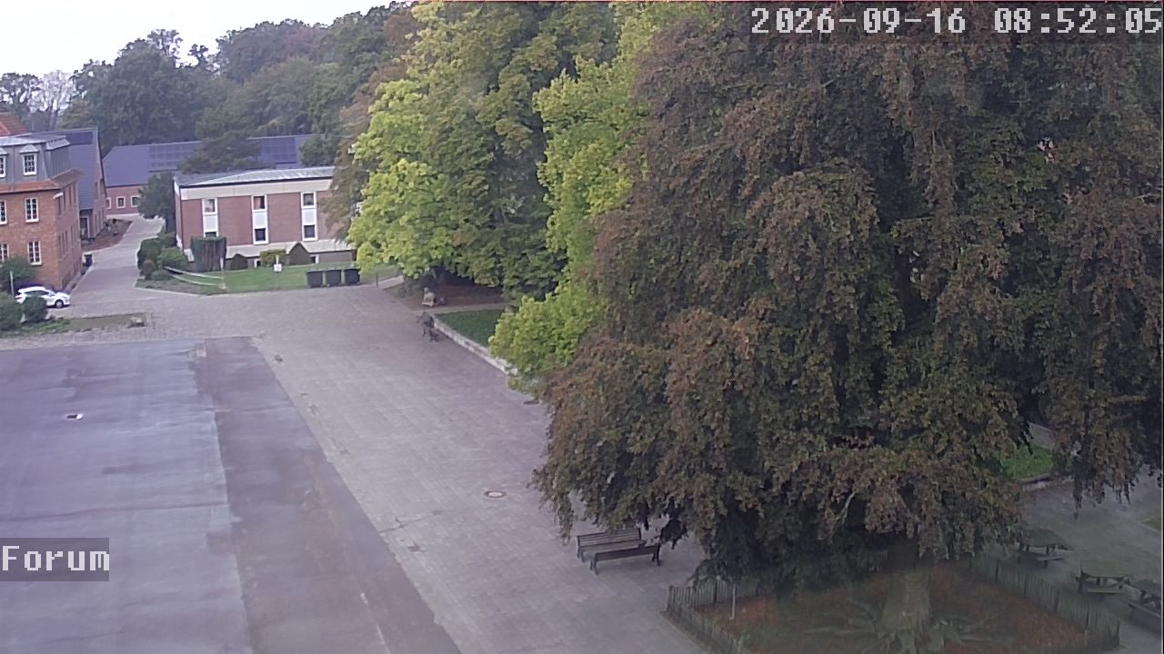 Webcam Forum 08:52