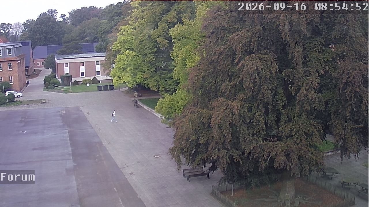 Webcam Forum 08:54