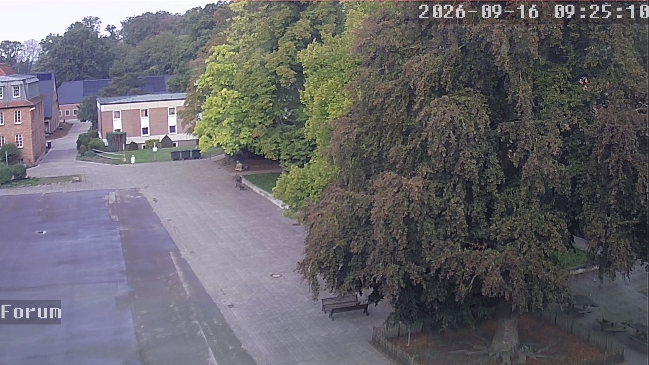 Webcam Forum 09:25